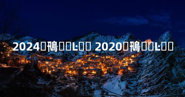 2024�鳵��Ŀ�� 2020�鳵��Ŀ��